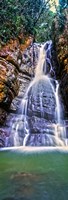 Framed Waterfall in a forest, La Mina Falls, Caribbean National Forest, Puerto Rico