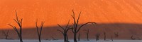 Framed Dead trees in dry clay pan, Dead Vlei, Sossusvlei, Namib-Naukluft National Park, Namibia