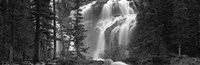 Framed Waterfall in a forest, Banff, Alberta, Canada (black and white)