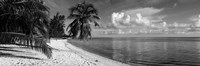 Framed Palm trees on the beach, Matira Beach, Bora Bora, French Polynesia