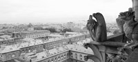 Framed Gargoyle statue at a cathedral, Notre Dame, Paris, Ile-De-France, France