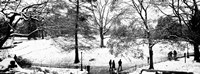 Framed High angle view of a group of people in a park, Central Park, Manhattan, New York