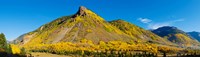 Framed Aspen trees on mountain, Anvil Mountain, Million Dollar Highway, Silverton, Colorado, USA