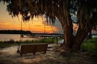 Framed Savannah Sunset