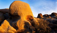 Framed Skull Rock formations, Joshua Tree National Park, California, USA
