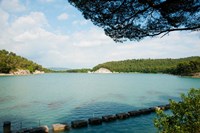 Framed Stepping stones in the reservoir, Canal de Marseille, Rognes, Bouches-Du-Rhone, Provence-Alpes-Cote d'Azur, France