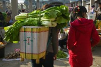 Framed People at a vegetable market, Xizhou, Erhai Hu Lake Area, Yunnan Province, China