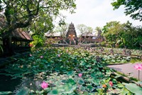 Framed Water lilies in a pond at the Pura Taman Saraswati Temple, Ubud, Bali, Indonesia