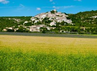 Framed Farm with a town in the background, Simiane-La-Rotonde, Alpes-de-Haute-Provence, Provence-Alpes-Cote d'Azur, France