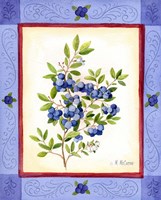 Framed Blueberries