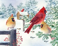 Framed Cardinals In Snow Flurry