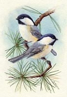 Framed Chickadee Vignette