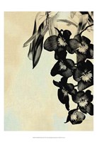 Framed Orchid Blush Panels II