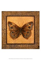 Framed Crackled Butterfly - Buckeye