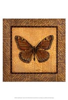 Framed Crackled Butterfly - Monarch