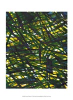 Framed Green Thicket I