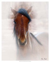 Framed Horse Portrait I