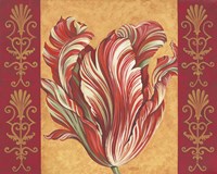 Framed Tulip Power III