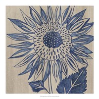 Framed Indigo Sunflower