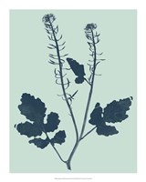 Framed Indigo & Mint Botanical Study I
