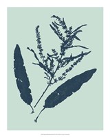 Framed Indigo & Mint Botanical Study IV