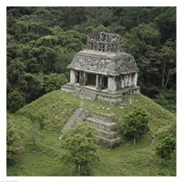 Framed Temple of the Cross Palenque