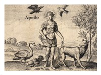 Framed Greek God Apollo