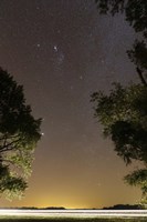 Framed Orion constellation between trees, Buenos Aires, Argentina