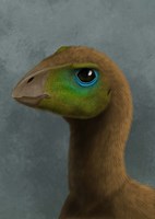 Framed Hypsilophodon dinosaur portrait