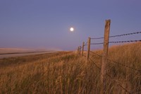 Framed Harvest Moon down the road, Gleichen, Alberta, Canada