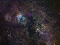 Framed Widefield image of narrowband emission in Cygnus