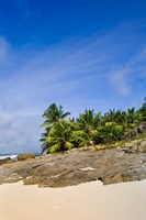 Framed Anse Bambous Beach on Fregate Island, Seychelles