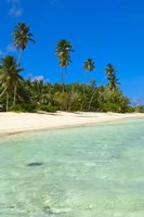 Framed Beach, Desroches Resort, Desroches Island, Seychelles