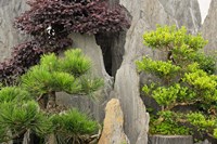 Framed Bao's Family Garden, Huangshan, China