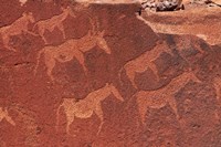 Framed Ancient rock etchings, Twyfelfontein, Damaraland, Namibia, Africa.