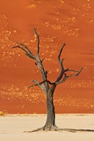 Framed Dead tree, sand dunes, Deadvlei, Namib-Naukluft National Park, Namibia