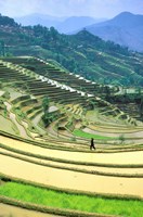 Framed China, Yunnan, Yuanyang Co, Rice Terraces, Mount Ailo