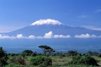 Framed Africa, Tanzania, Mt Kilimanjaro, landscape and zebra