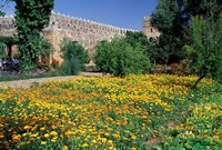 Framed Gardens and Crenellated Walls of Kasbah des Oudaias, Morocco