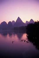 Framed Fishing rafts on Li River, dawn, Guangxi Province, China