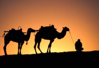 Framed Camel Caravan Silhouette at Dawn, Silk Road, China