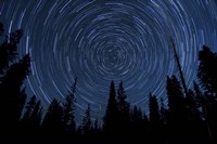 Framed Star trails and a meteor above pine trees in Lassen Volcanic National Park