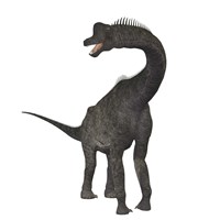 Framed Brachiosaurus dinosaur