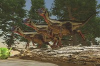 Framed group of herbivorous Hypsilophodon dinosaurs