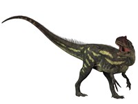 Framed Allosaurus, a prehistoric era dinosaur