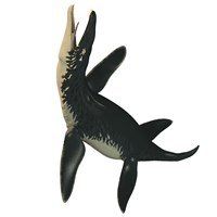 Framed Liopleurodon, a large carnivorous marine reptile