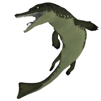 Framed Metriorhynchus, an extinct genus of crocodyliform from the Jurassic Period