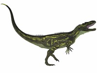 Framed Torvosaurus, a large theropod dinosaur from the Jurassic Period