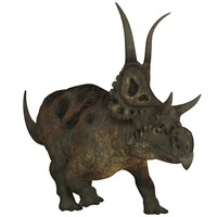 Framed Diabloceratops, a herbivorous dinosaur from the Cretaceous Period