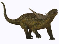 Framed Sauropelta, a herbivorous dinosaur from the Cretaceous Period